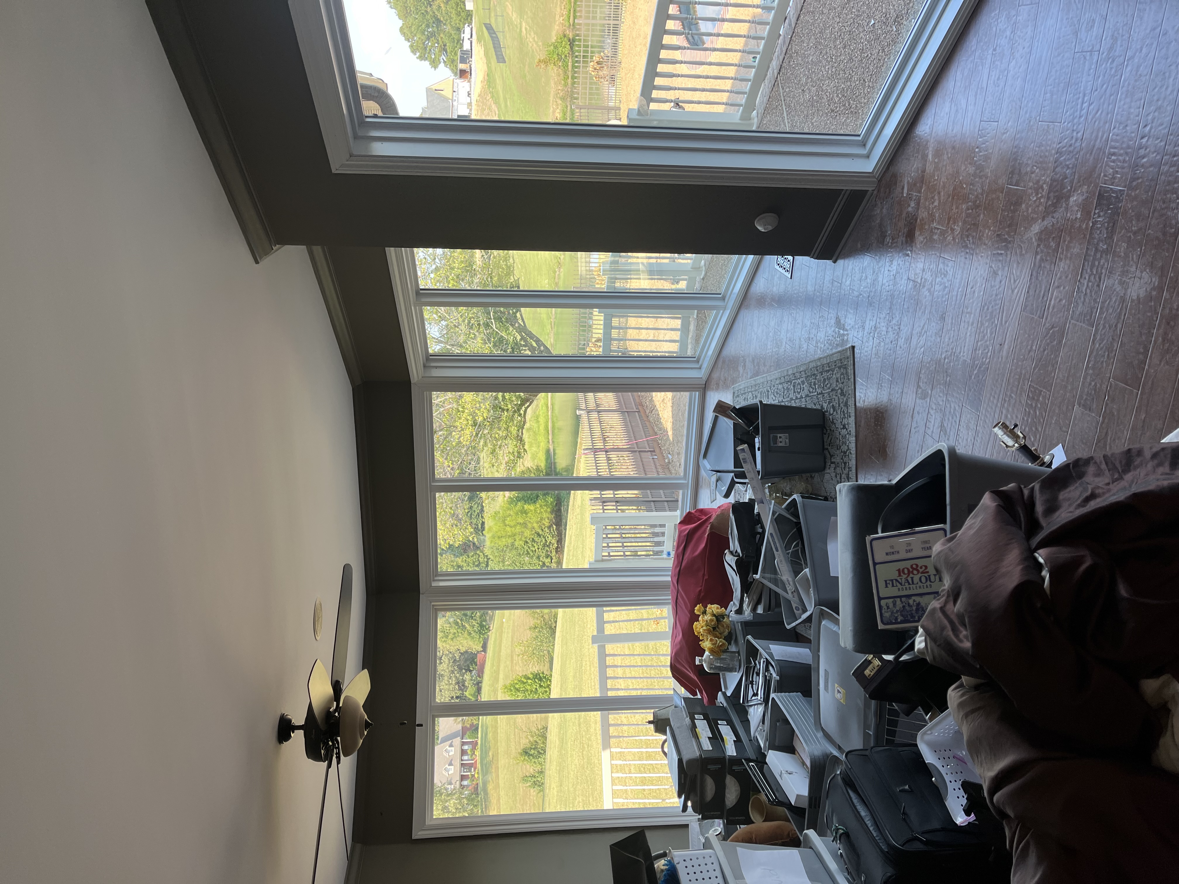 large living room windows overlooking back yard